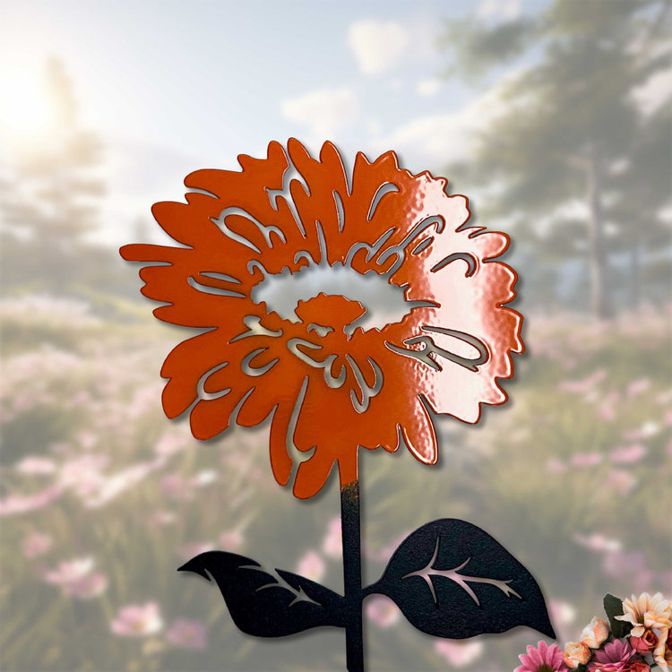 Le gerbera