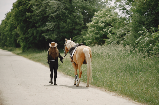 Idées Cadeaux pour Passionnés de Chevaux