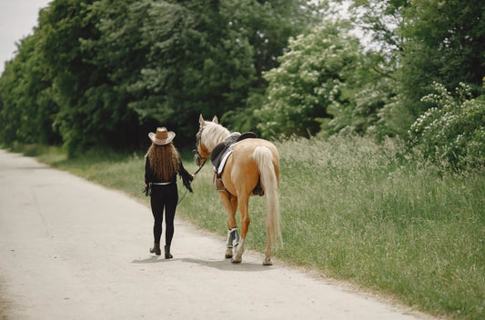 Idées-Cadeaux-pour-Passionnés-de-Chevaux Steelmonks
