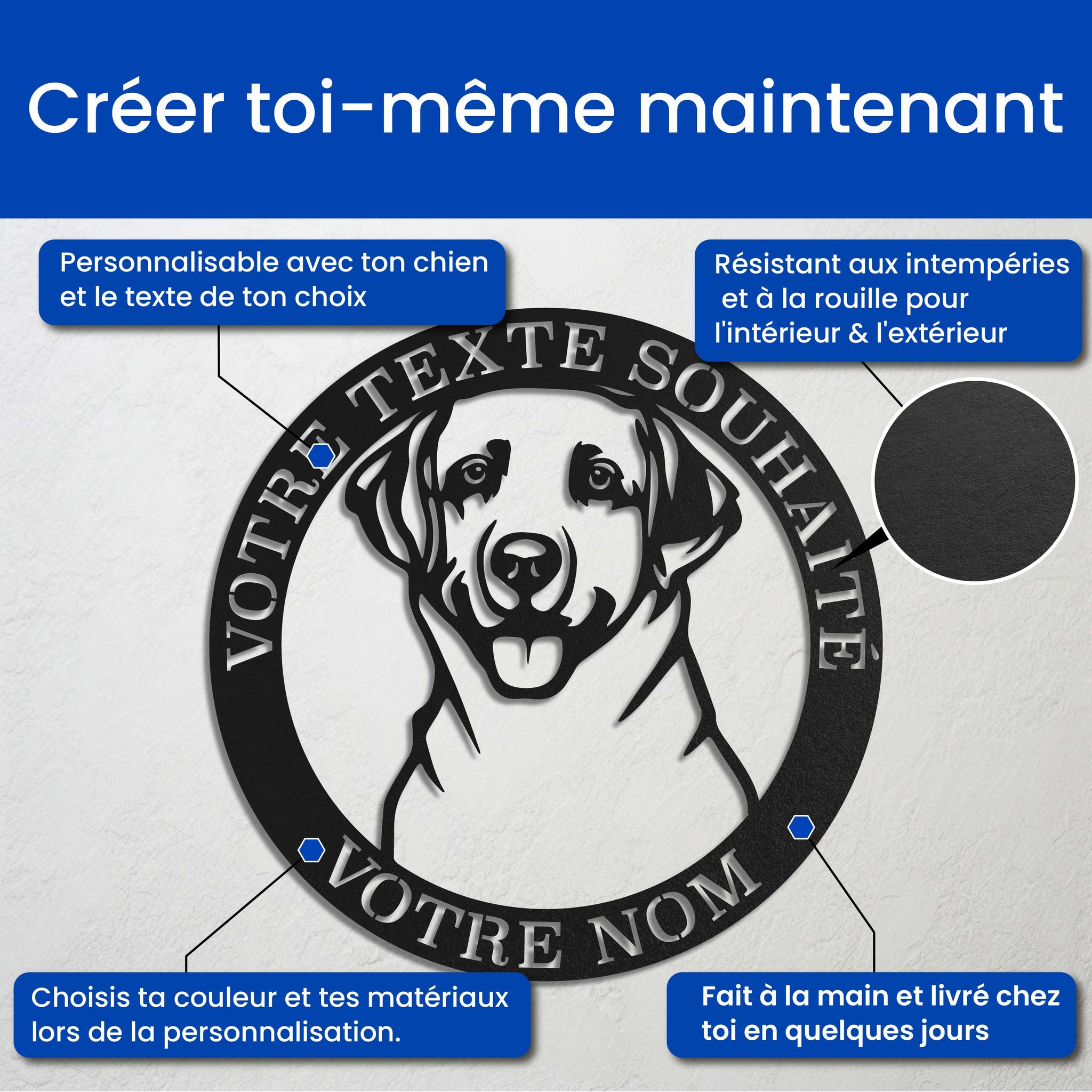 Chien dans un cercle