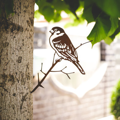 Moineau