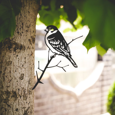Moineau