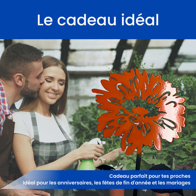 Le gerbera