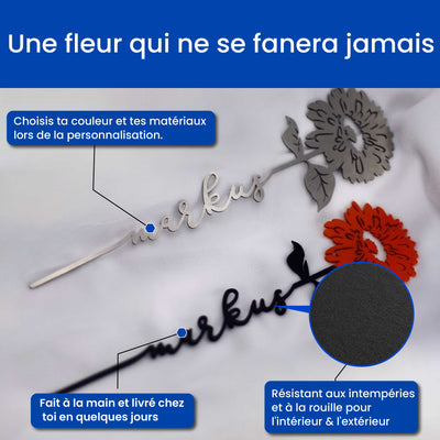 Le gerbera