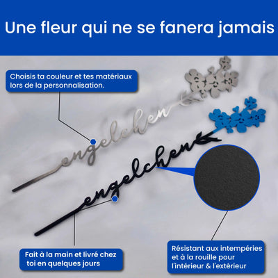 Le myosotis Steelmonks