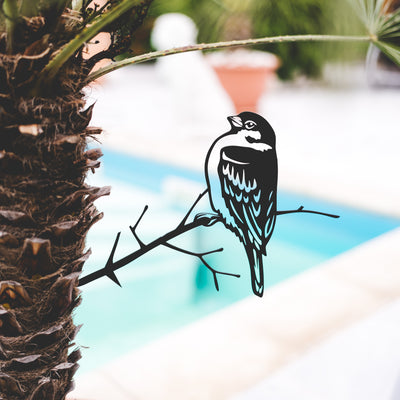 Moineau