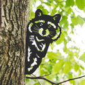 A raccoon