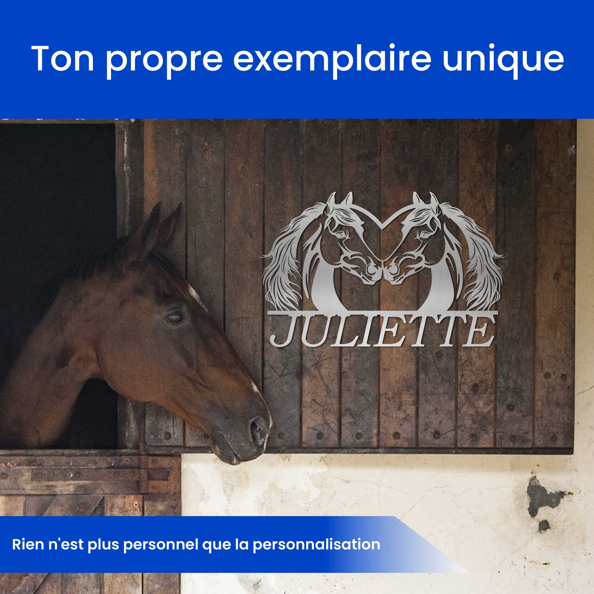 Chevaux Embrassant