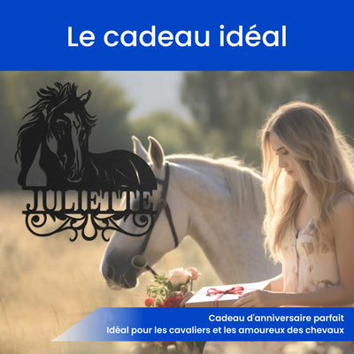 Clin d'œil de Cheval Steelmonks