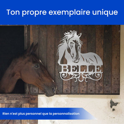 Clin d'œil de Cheval Steelmonks
