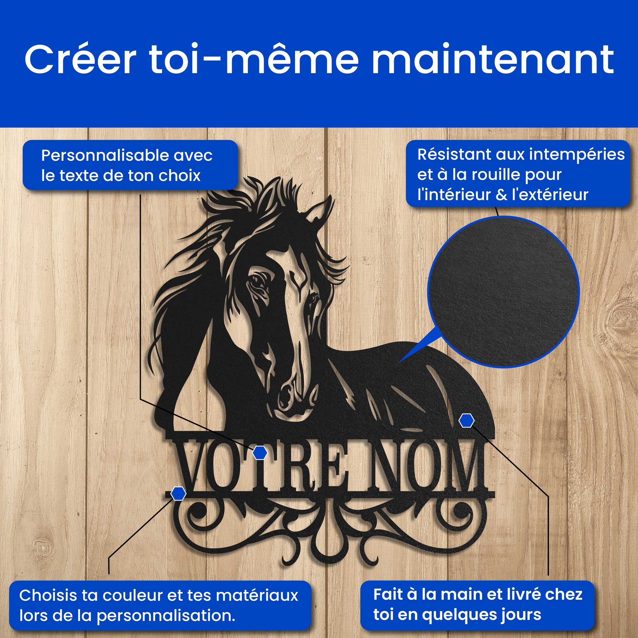 Clin d'œil de Cheval