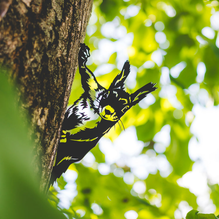 Hanging Squirrel